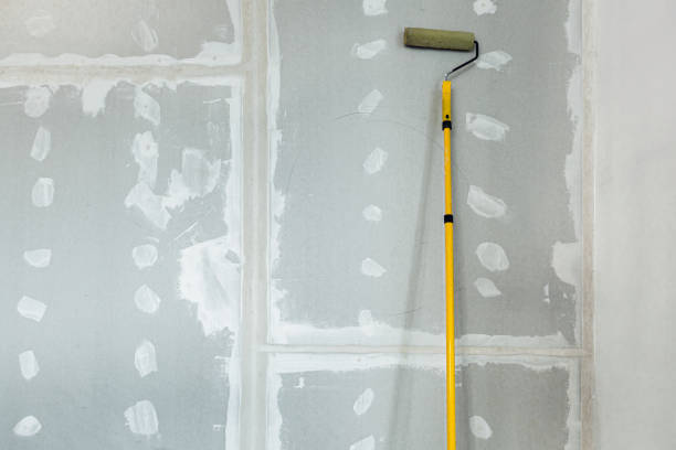 Best Drywall for Remodeling  in Staples, MN